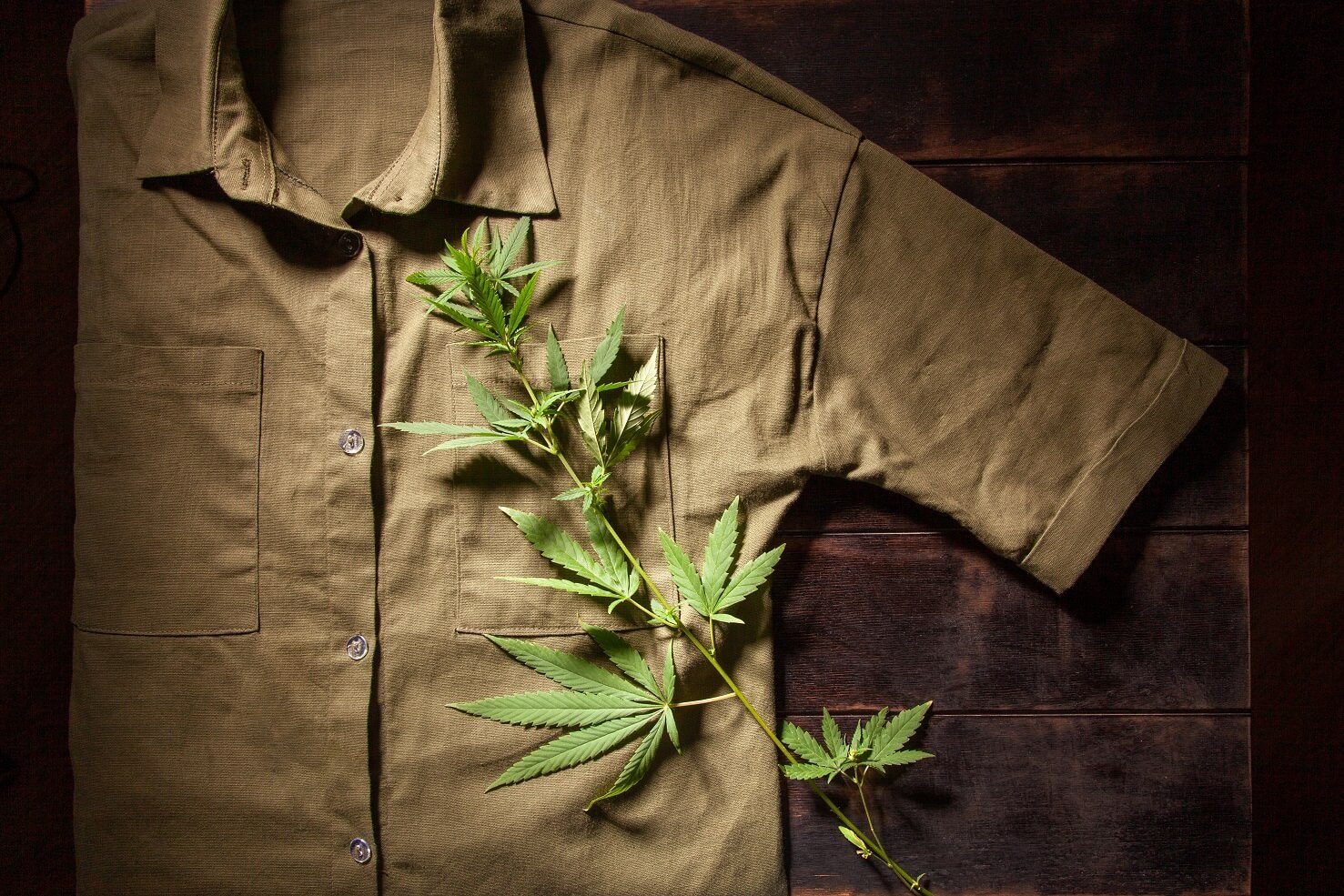 history of hemp clothing